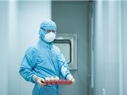 Sản xuất vaccine ở Việt Nam: Có năng lực nhưng thiếu chiến lược 
